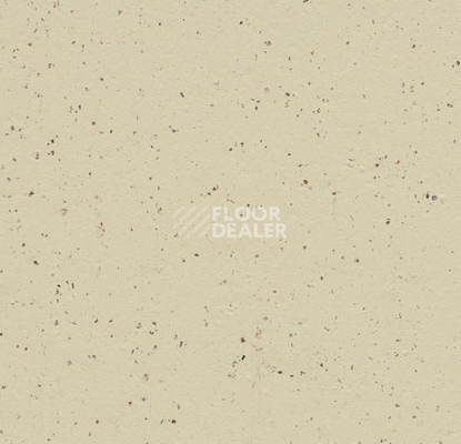 Линолеум Forbo Marmoleum Solid Cocoa 3584-358435 white chocolate фото 1 | FLOORDEALER